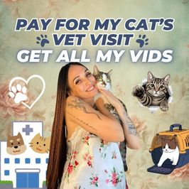 GET ALL MY VIDS FOR MY CATS VET CHECKUP