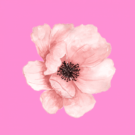 Buy me some flowers:3