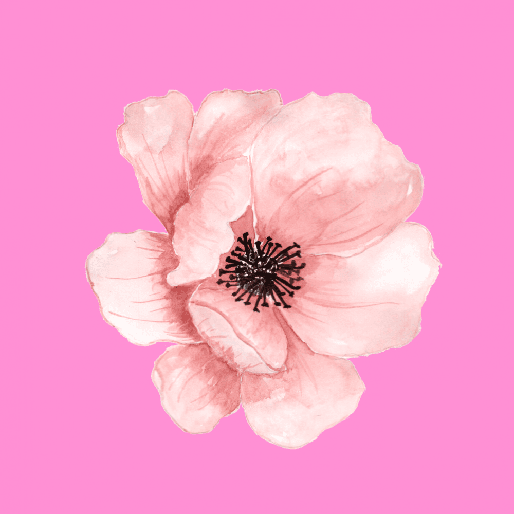 Buy me some flowers:3