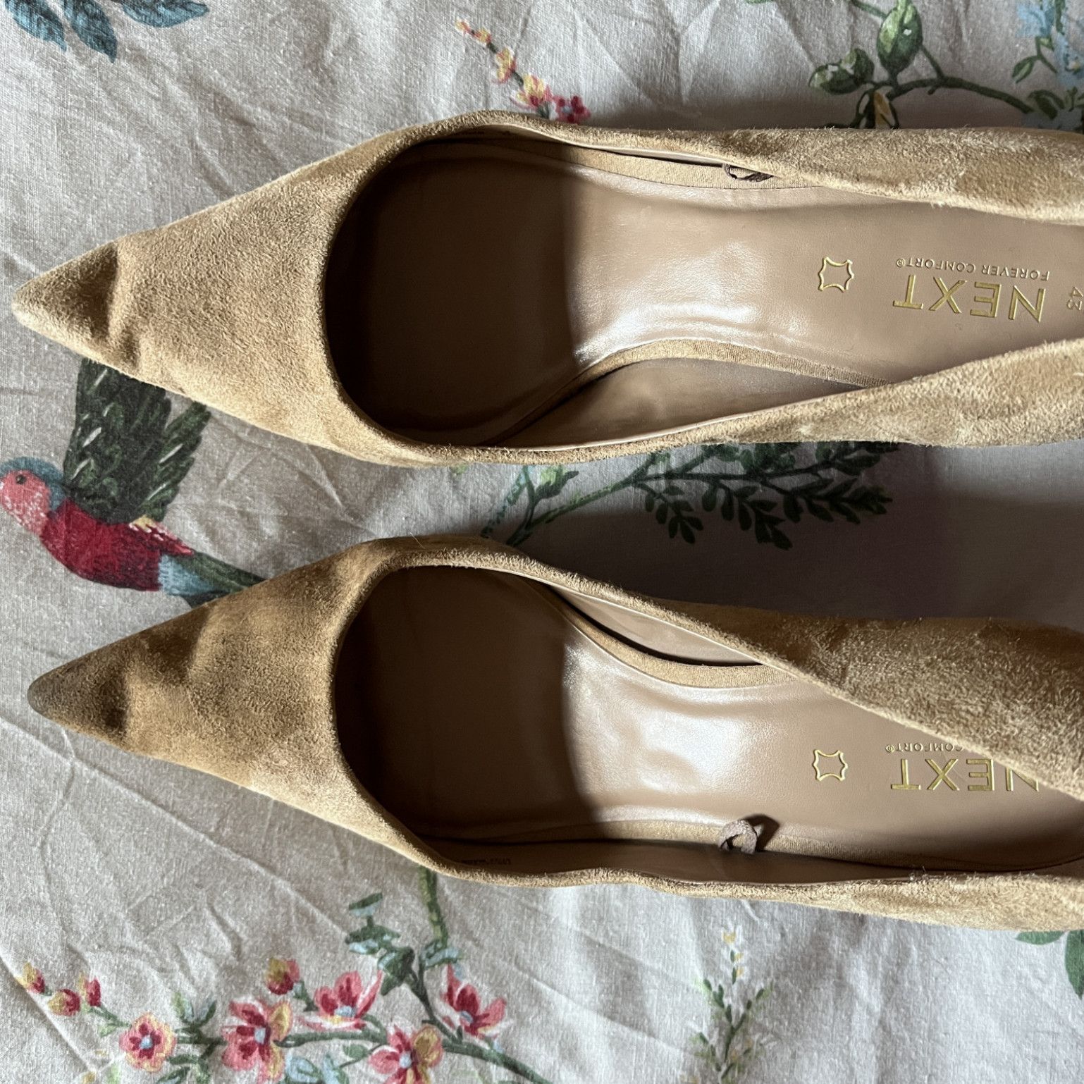 My Destroyed Sueude Shoes