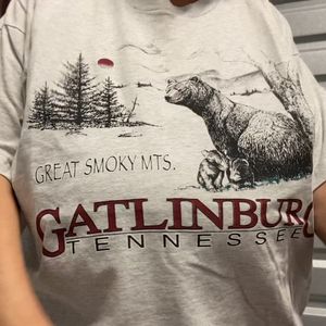 Vintage Tennessee Shirt Single Stitched Large Graphic Tee