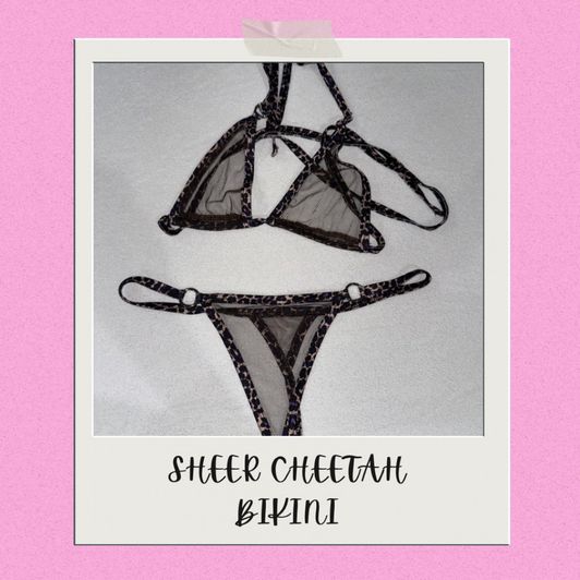 Cheetah Bikini