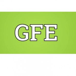 The Girlfriend Experience GFE