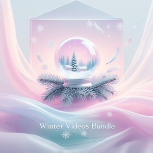 Winter videos bundle