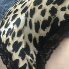 Cheetah VS cheeky panty