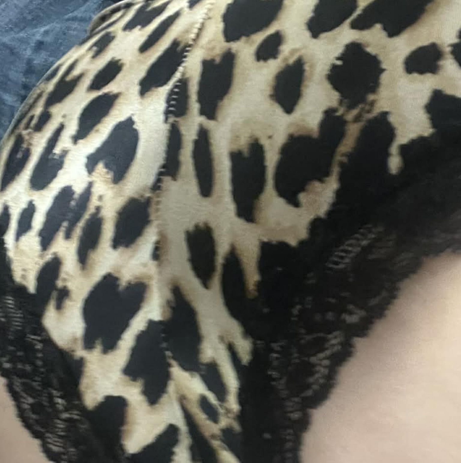 Cheetah VS cheeky panty