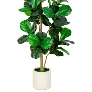 Buy Me Plants