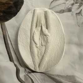 PLASTER CAST OF THE VULVA