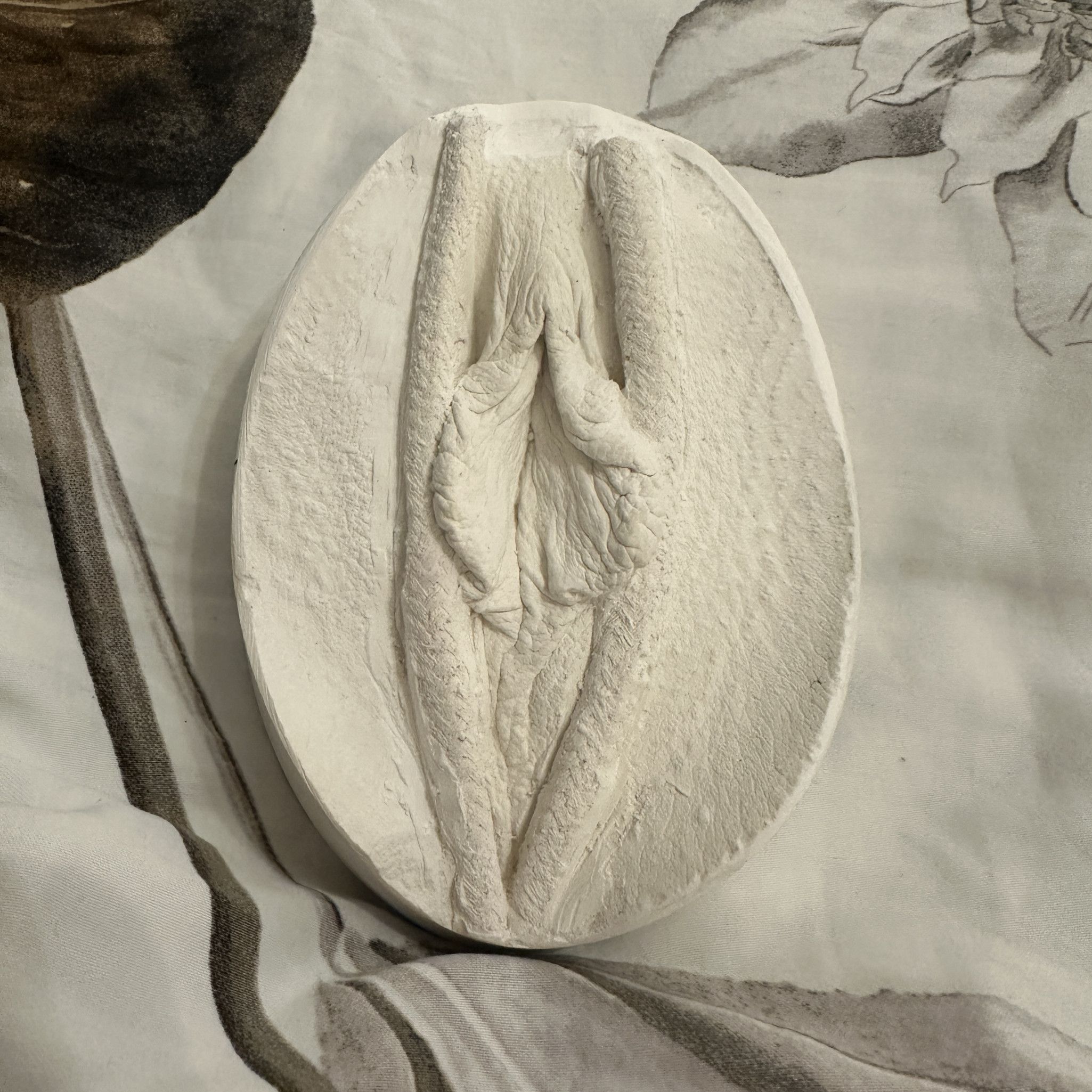 PLASTER CAST OF THE VULVA