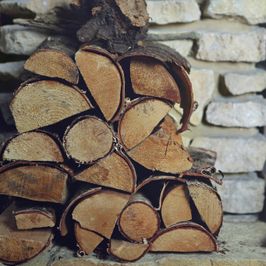 Heat Things Up  Firewood Help Needed!