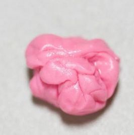 Chewed Gum  Warm Wet and Full of My Scent