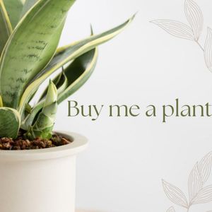 Gift me a houseplant