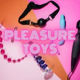PLEASURE TOYS