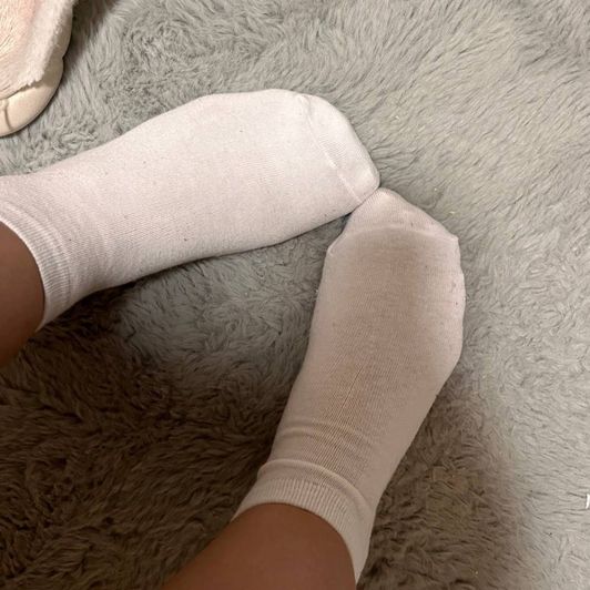 socks of any color and type soaked in my smell