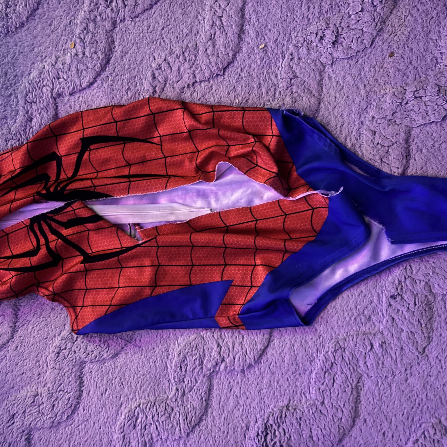 Ripped Spidey Suit
