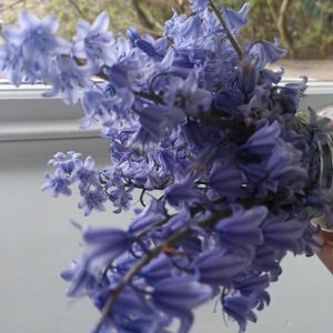 Pay towards our wedding