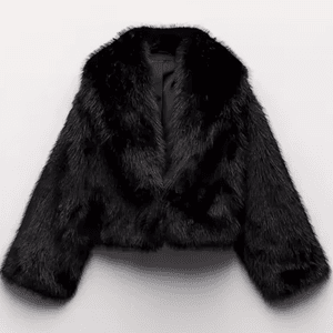 beautiful elegant coat