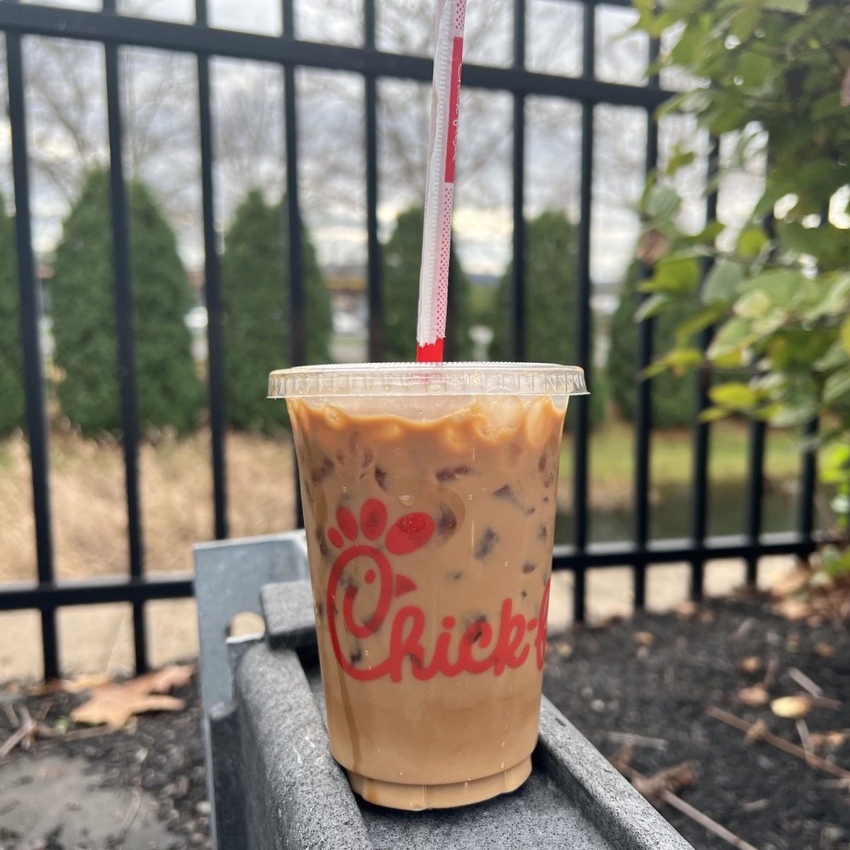 Gift Me A Coffee!