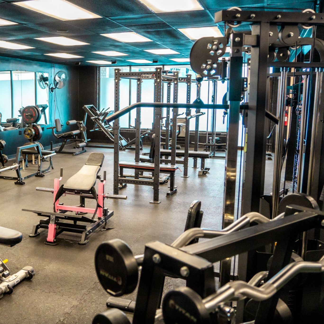 6 month Gym Subscription