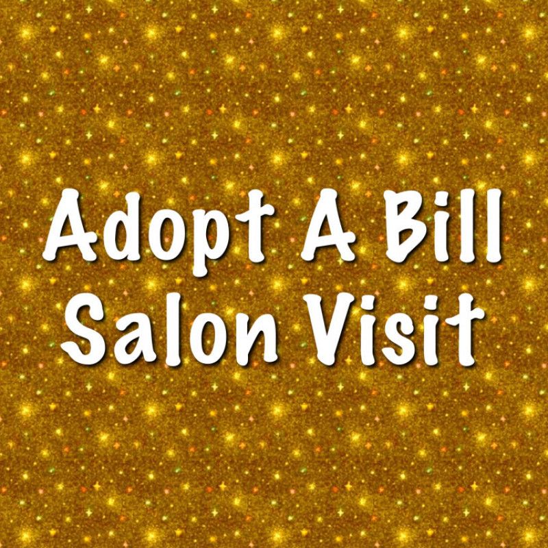 Salon Visit