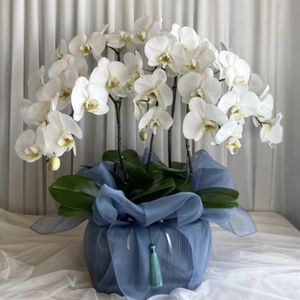 I love plants and flowers!
