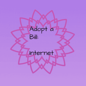 Adopt a Bill: Internet