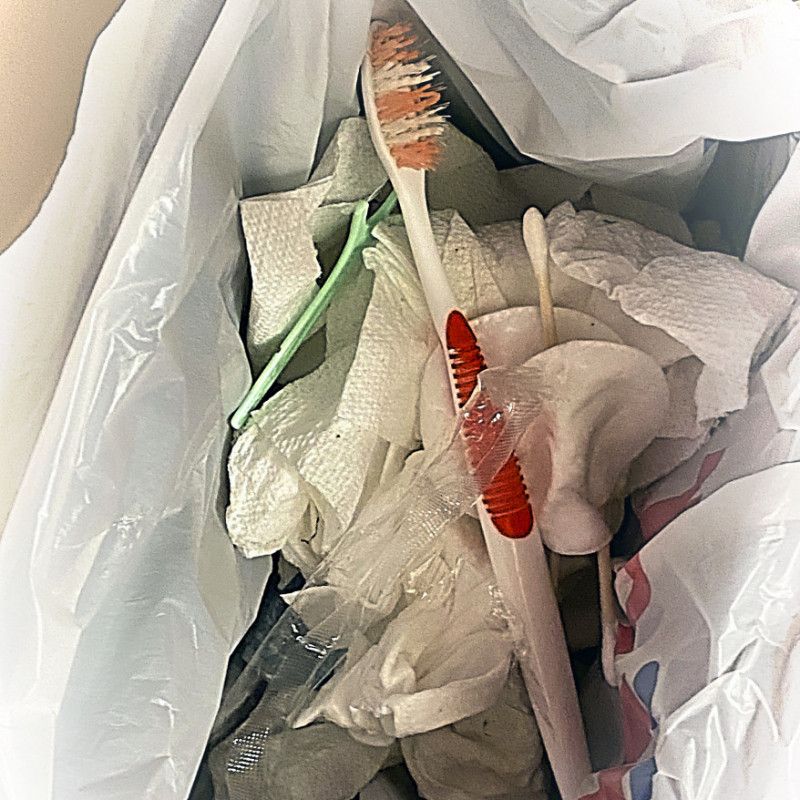 Dumpster Dive Trash Haul