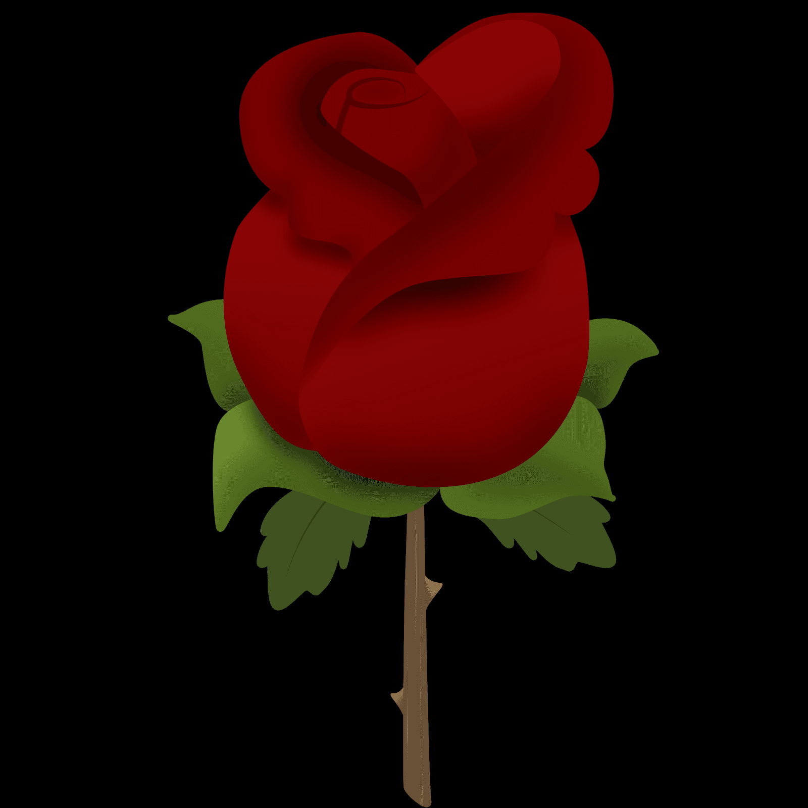 A rose