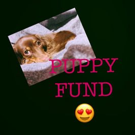 Fund!