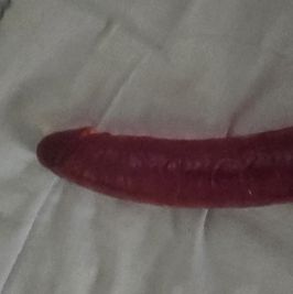 big dildo