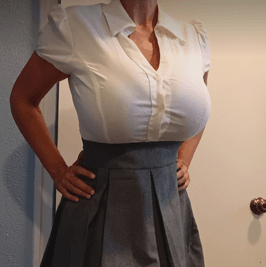 MY FAVORITE Blouse Dress that has a attached pleaded pencil