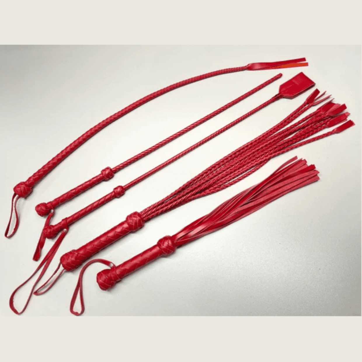 leather whip kit