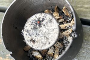 Cigarette butts and ash’s