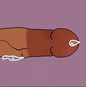 Dick portraits!