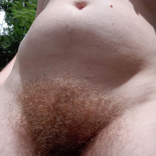 Pussy hair 2 years untrimmed