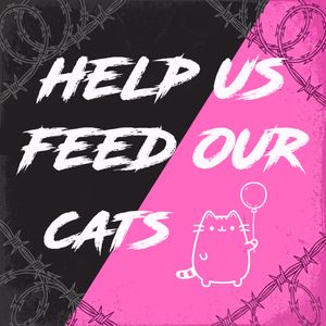 Feed Cats