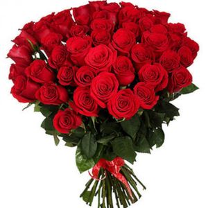 51 roses of everlasting love and passion