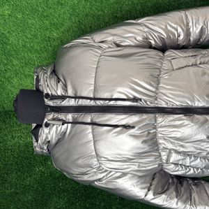Silver winter coat