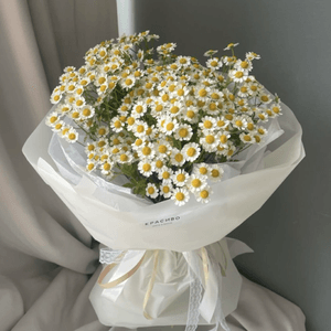 Daisy Bouquet for Me