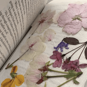 Pressed Flowers From My Walk