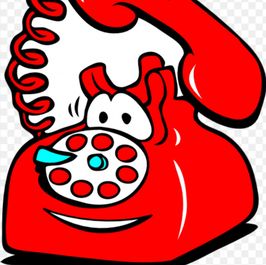 Buy my phone number for 1 year!