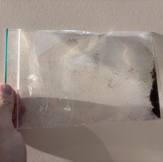 my cut beard in a bag