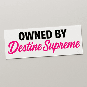 Bumper Sticker