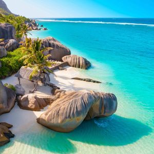 Will you help me with my dream vacation
