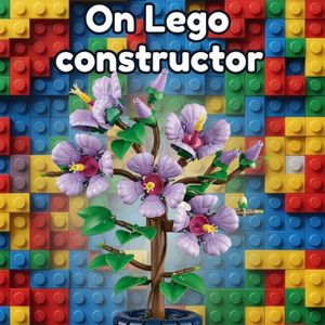 For the purchase of Lego