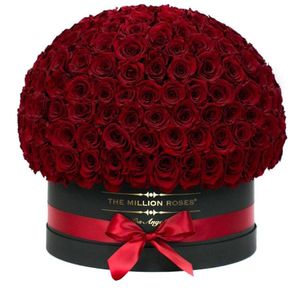 Buy me Roses