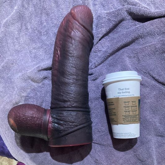 Latin Lover XXXL