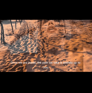 Wild Brazil Experience Teaser
