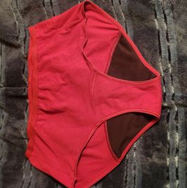 Lined used panties