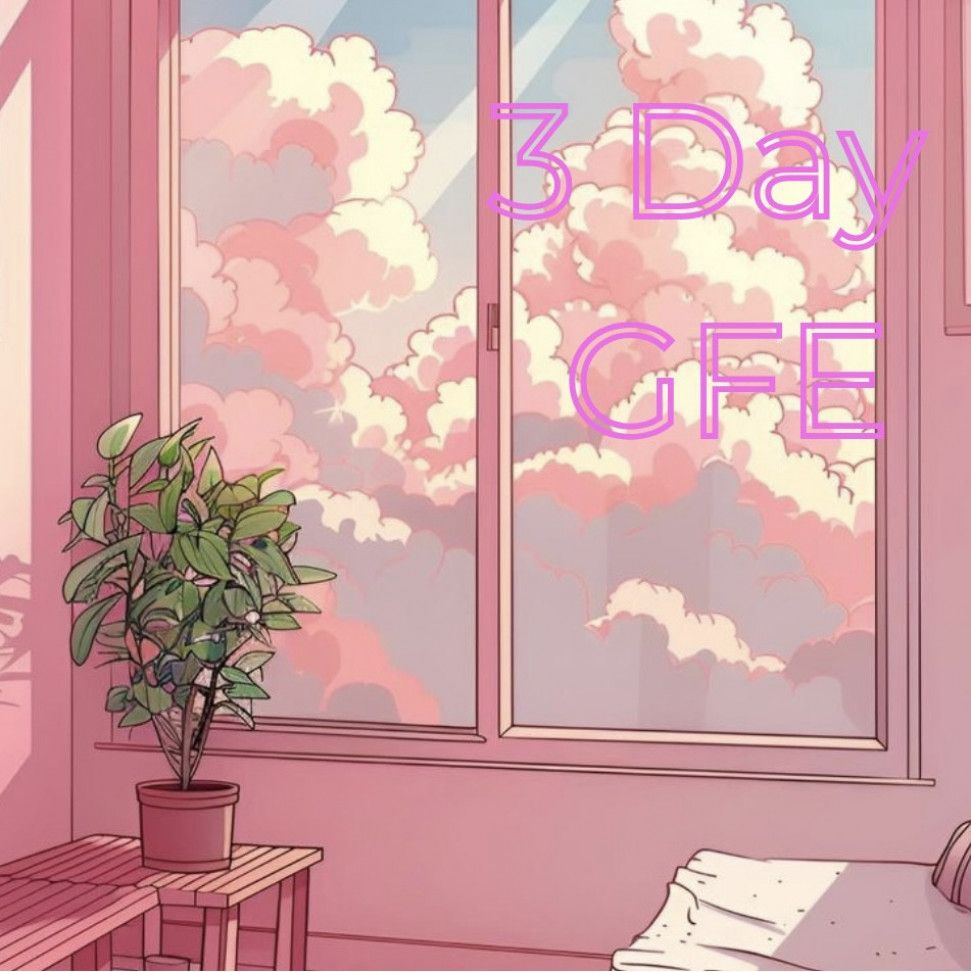 3 Day GFE
